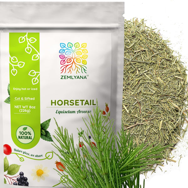 Horsetail Tea - Cut & Sifted Horse Tail Grass Herb - Cola