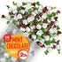 2 165 Arcor Chocolate Filled Mints Candy | Pound Bag | Individually Wrapped Chocolate Mint Hard Candy | Old Fashioned