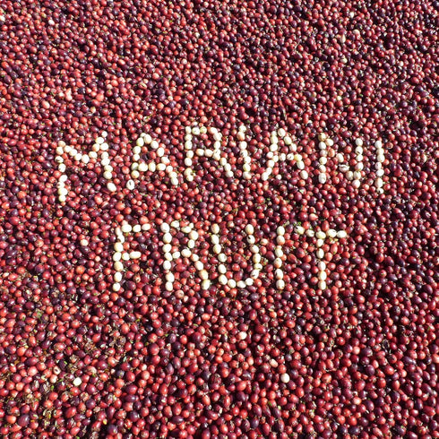 5oz (Pack 4) Mariani Dried Cranberries - Gluten Free, Vegan, No Preservatives - Healthy Snacks for Kids & Adults, Bag