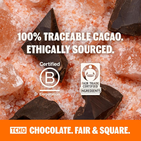 81% (10 pack) (2.1oz TCHO Dark & Salty Dark Chocolate Bars | Plant Based, Organic & Fair Trade | Non GMO, Non-Dairy