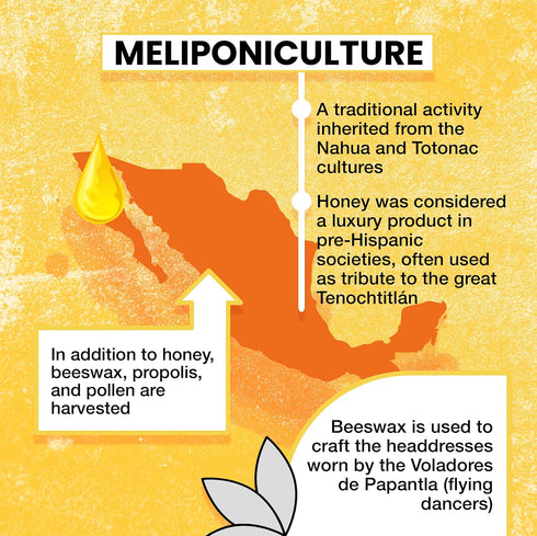 20ml Communities Pure Raw Melipona Honey Dropper | Stingless Bee Honey from Nahua & Totonac | Unfiltered, Natural
