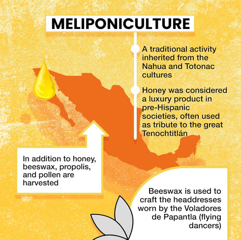 130g Communities Pure Raw Melipona Honey Stingless Bee Honey | Produced by Nahua & Totonac | Unfiltered, Natural