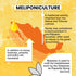 20ml Communities Pure Raw Melipona Honey Dropper | Stingless Bee Honey from Nahua & Totonac | Unfiltered, Natural