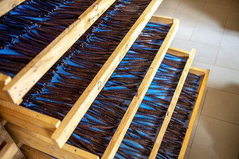 25 5-7 inches Split Extract Grade Intense Uganda Vanilla Beans for Vanilla Extract