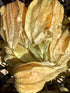 3 (Pack 3) Kejora Fresh Golden Berries/Cape Gooseberries Ounce