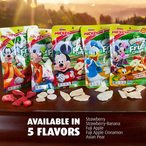 0.35 Oz (Pack 12), 100% Brothers All Natural Disney Freeze Dried Fruit Crisps, Fuji Apple, of Made with Fruit, Gluten