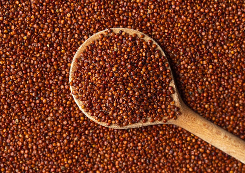 1.5 Food to Live Red Quinoa, Pounds Ancient Whole Grain Seeds, Raw, Sproutable, Kosher, Vegan, Sirtfood, Bulk.