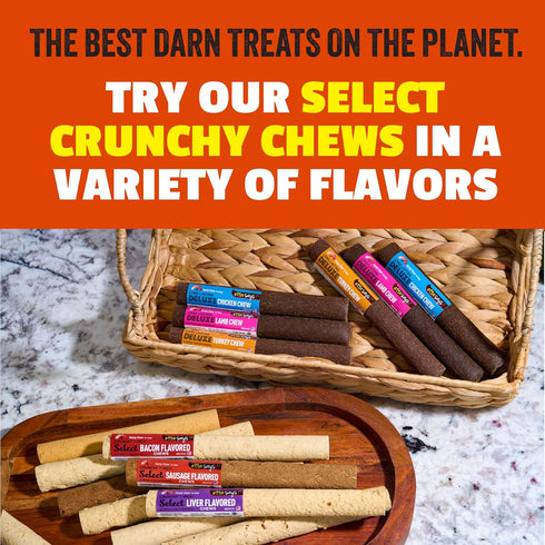 7" 10 Pack etta says! Select Crunchy Dog Chews - Rawhide-Free Dog Treats - Made in the USA - Odor-Free, All-Natural