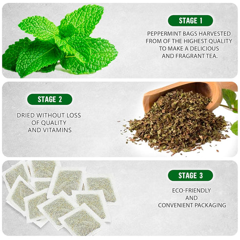 TeaDreamTea Peppermint Tea Bag - Herbal Mint Tea Bags - Aromatic & Caffeine Free Bulk Tea (100 Teabags)