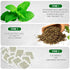TeaDreamTea Peppermint Tea Bag - Herbal Mint Tea Bags - Aromatic & Caffeine Free Bulk Tea (100 Teabags)