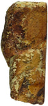 16 oz. Green's Bakery Mini Kosher Cinnamon Babka