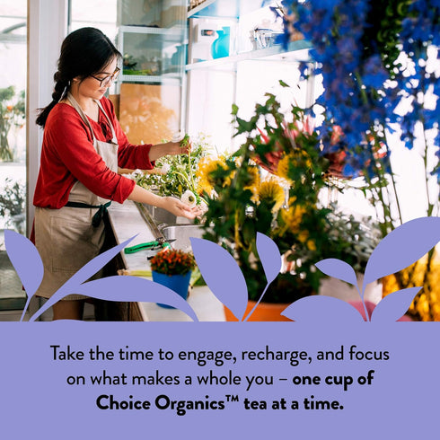 48 (Pack 3) Choice Organic Teas Earl Grey Tea - With Bergamot - Fair Trade - Compostable - Contains Caffeine - Organic
