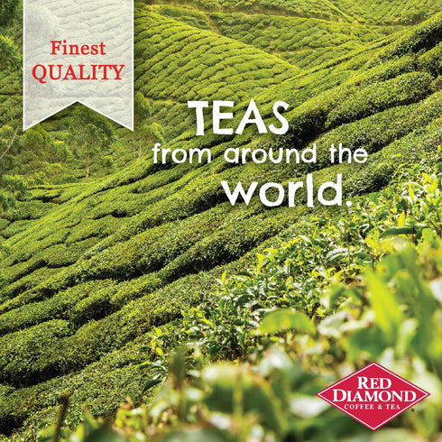 50 Count (6 Pack 300 Count) Red Diamond Iced Tea Bags | Family Size Tea Bags | Delicious and Freshly Brewed Taste |