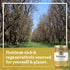 16 oz Philosopher Foods - Naked Creamy Organic Sprouted Almond Butter - - Stone Ground Regenerative Organic Creamy