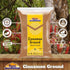 Rani Cinnamon Powder (Ground) Spice, 3.5oz (100g) - All Natural, Salt-Free, Vegan, Gluten Friendly