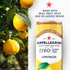 Sanpellegrino 24 Pack 11.15 Oz Zero Grams Added Sugar Italian Sparkling Drinks Lemonade, Sparkling Lemon Beverage
