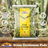 Rani Green Cardamom Pods Spice (Hari Elachi), 3.5oz (100g) - All Natural, Vegan, Gluten Friendly