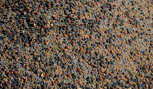 13-Seed (1 lb. [50% No-Till Cover Crop Mix Bag): Clovers Plus Fenugreek, Vetch, Flax, Cowpeas, Buckwheat, Forage Peas