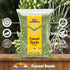 Rani Fennel Seeds (Saunf Sabut) Whole Spice - 7oz (200g) - All Natural, Gluten Friendly, NON-GMO, Kosher, Vegan