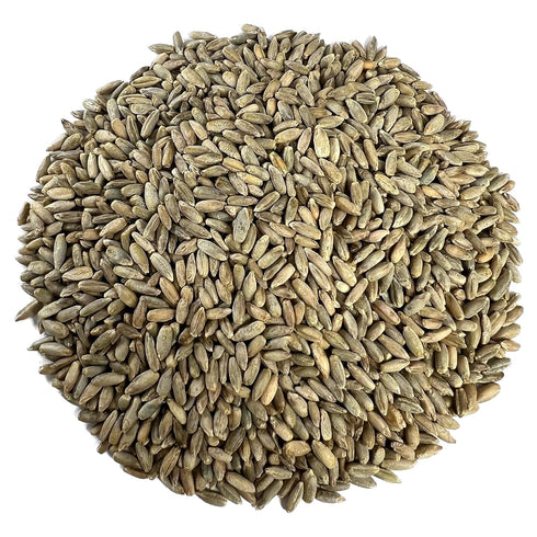 Myco Buddy Organic Rye Berries 5 lbs - Non-GMO, Kosher, Raw Whole Grain, Bulk