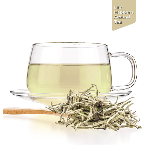 Tealyra 110g (4-ounce) - Premium White Silver Needle Tea - Bai Hao Yinzhen - Organically Grown in Fujian China
