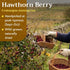 2 lb (32oz) Hawthorn Berry Tea - Whole Berries Dried - Natural Crataegus Monogyna, Bulk