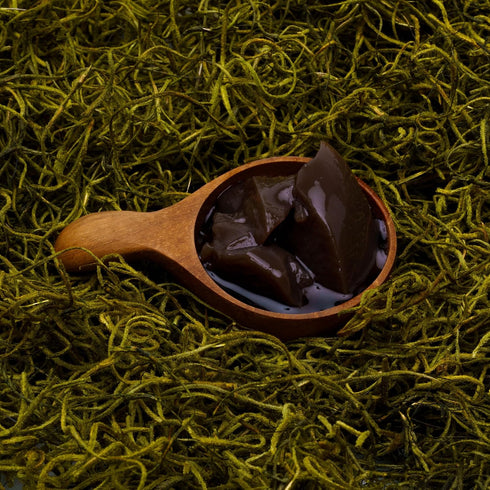 (3.3kg/7.3lbs Li Cha Grass Jelly Concentrated Juice Mix Bottle) | Topping for Bubble Milk Tea, Boba Beverages