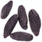 5 Premium Tonka Beans - Whole Natural Tonka Beans - 100% Raw