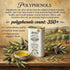 Aleta 16.9 Oz (Pack 1) Farms Olive Oil Extra Virgin, USDA Organic, Single Estate PDO Polyphenol Rich Olive Oil, Cold