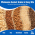 48 Pack Cooper Street Granola Bakes - Soft Baked Oats, Grain & Seeds Granola Bars in Bulk - Nut & Dairy Free, Low