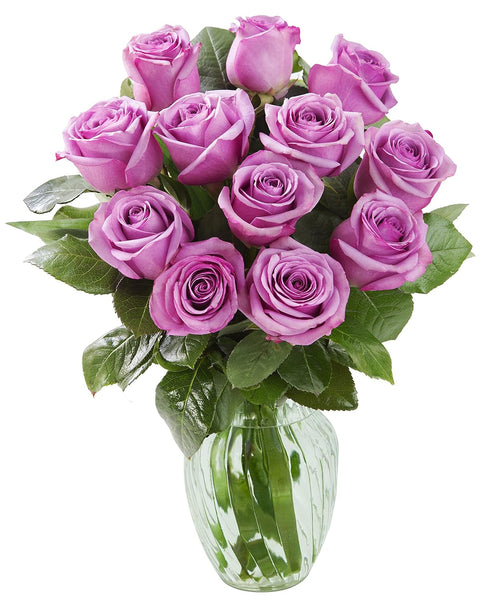 KaBloom - 12 Fresh Purple Roses (Farm-Fresh, Long-Stem) with Vase - Fresh