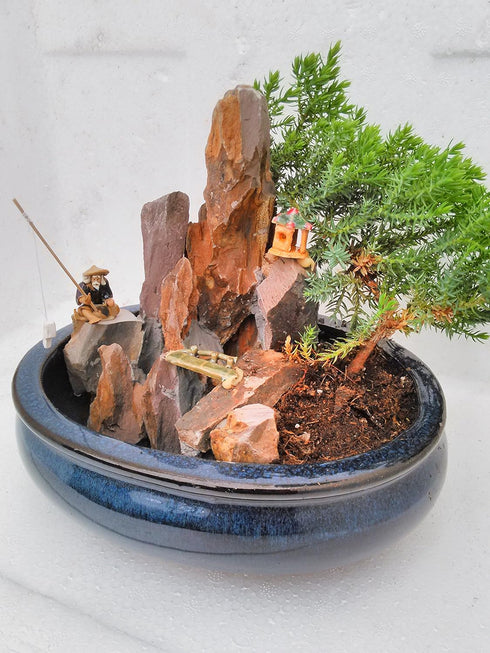 jmbamboo -bonsai- Juniper Tree Zen Garden With Pool Fishman
