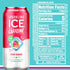Pack,Flavored Antioxidants,16 oz,(Citrus Citrus),(Pack 24) Sparkling Ice Caffeine Variety Sparkling Water,Zero