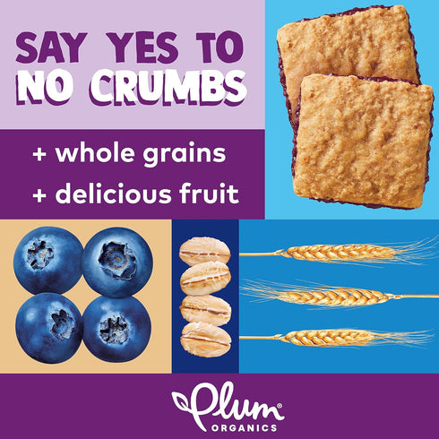 Plum Organics Jammy Sammy Snack Bars, Blueberry and Oatmeal, 1.02 oz Bars (Pack of 30)