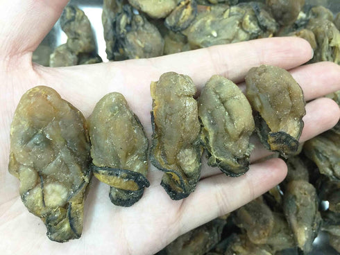 Grand Gift (250 Dried Seafood Dried Food Dried Premium Korean Oysters Free Worldwide Air Mail grams)