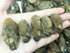 Grand Gift (250 Dried Seafood Dried Food Dried Premium Korean Oysters Free Worldwide Air Mail grams)