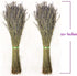 TOMOKOMAMA (2 Dried Lavender Bundles - Freshly Harvested Organic Lavender Bunch Royal Velvet Bouquet for Decoration