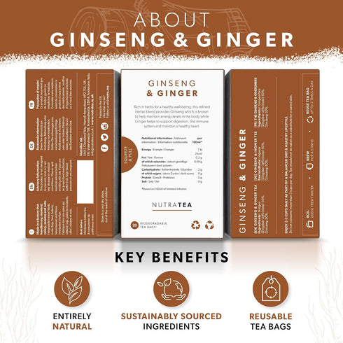 Nutra Tea Ginger & Ginseng Tea - 40 Tea Bags Herbal Tea (2 Pack)