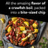 1.5 oz. (Pack 30) Zapps New Orleans Kettle-Style Potato Chips, Cajun Crawtator Crunchy Chips with a Spicy Kick, Great