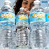 16.9 Oz (24 Count) SPLASH REFRESHER Lemon Flavor Water Beverage, Fl Plastic Bottles
