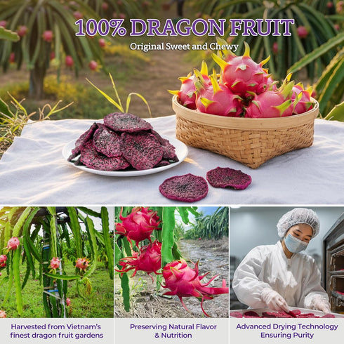 3.5 oz Vinamit Soft Dried Dragon Fruit Slices | No Sugar Added | Bag | Naturally Sweet, Vegan, Non-GMO, Gluten-Free |