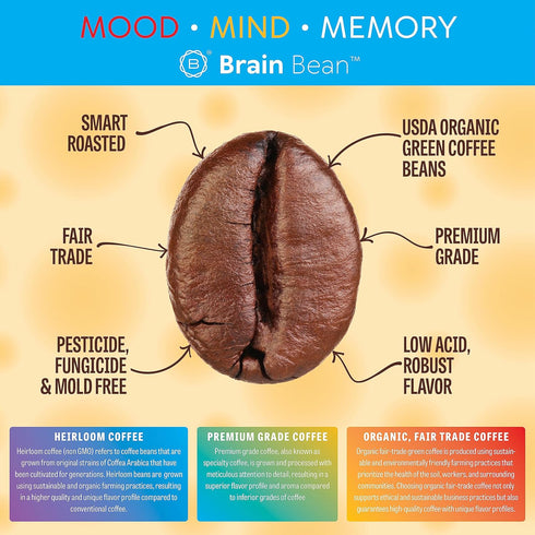 16 oz (1-Pack) Brain Bean Organic Coffee Smooth Taste & Rich Medium Roast High Antioxidant & USDA certified organic