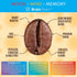 16 oz (1-Pack) Brain Bean Organic Coffee Smooth Taste & Rich Medium Roast High Antioxidant & USDA certified organic