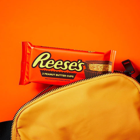 Packs, 1.5 oz (36 Count) REESE'S Milk Chocolate Peanut Butter Cups, Candy
