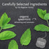 20 Count (Pack 6), 120 steep by Bigelow Organic Mint Herbal Tea, Caffeine Free, of Total Tea Bags