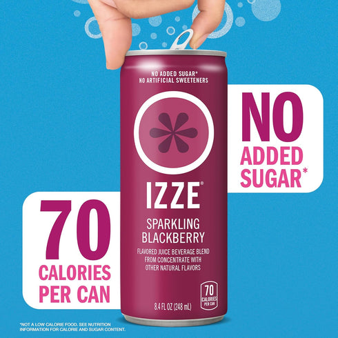 8.4 OZ, 24 IZZE Sparkling Water Juice Beverage Blend, Blackberry, No Sugar Added, FL Cans