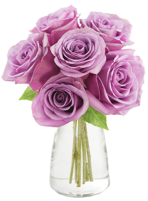 KaBloom - Bouquet of 6 Fresh Cut Purple Roses (Farm-Fresh, Long-Stem) with