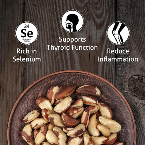 0.50 lb (8 oz) Premium Wild Harvested Dry Roasted Brazil Nuts with Sea Salt, High Selenium, Batch Tested Peanut