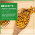 4 Jiva USDA Organic Moong Dal Yellow - Pound (Split Mung Beans Washed)