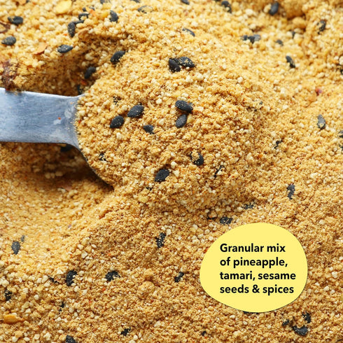 18 oz Spiceology - Maui Wowee - Hawaiian Teriyaki Seasoning - Hawaiian BBQ Rub Spices and Seasonings - Add Flavor